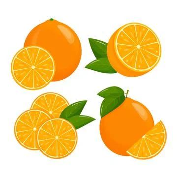 Orange fruit. Oranges that are segmented on a white background, juicy seasonal 库存插图