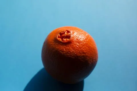 Orange fruit over blue background with shadow. Stock Photos