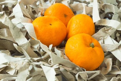 Orange fruit Stock Photos