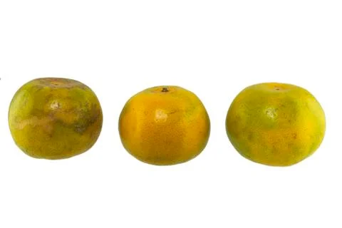 Orange fruit Stock Photos