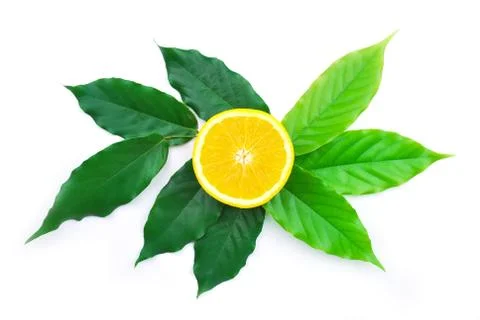 Orange fruit Stock Photos