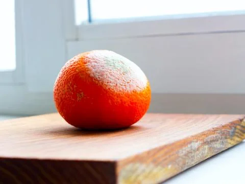 Orange fruit. Foto stock