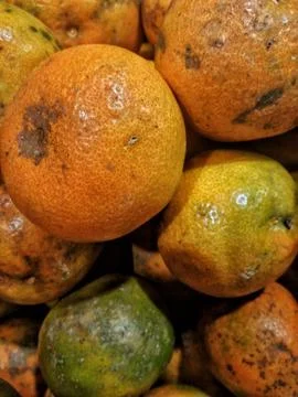 Orange fruit Foto stock