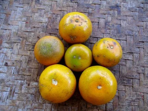 Orange fruit 스톡 사진