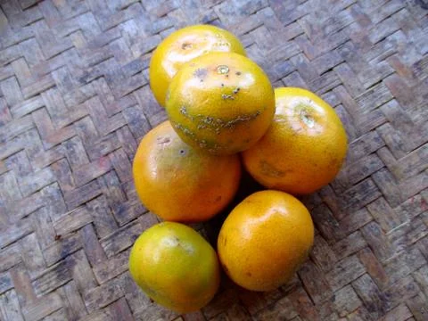 Orange fruit 스톡 사진