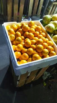 Orange fruit Stock Photos