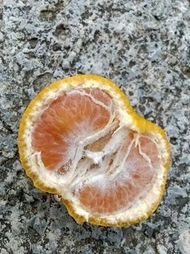 Orange fruit  Stockfoto's