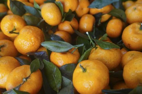 Orange fruit Stock Photos