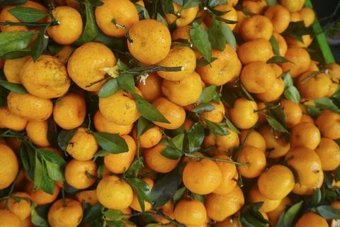 Orange fruit Stock Photos