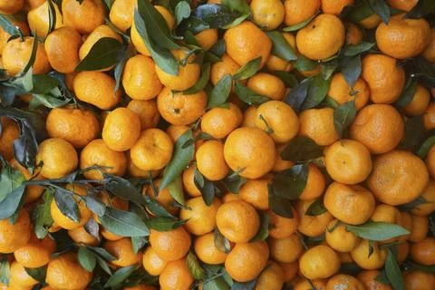 Orange fruit Stock Photos