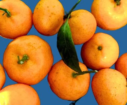 Orange fruit Foto stock