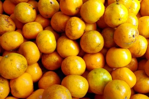 The Orange fruit Stock Photos