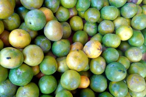 The Orange fruit Stock Photos