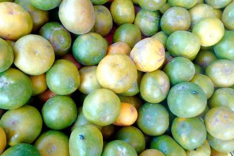 The Orange fruit Stock Photos