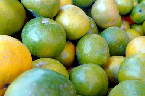 The Orange fruit Stock Photos