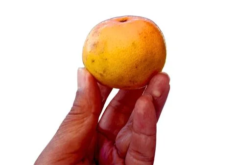 The Orange fruit Stock Photos