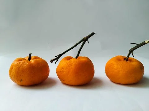 Orange fruit Stock Photos