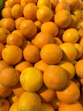 Orange Fruit 库存照片