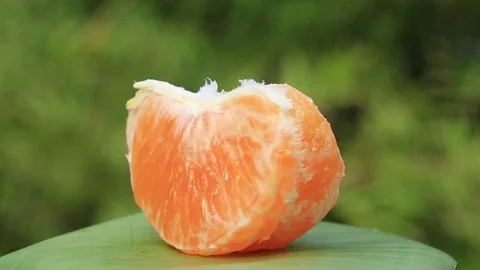 Orange fruit rotation , close up Stock Footage 70155317