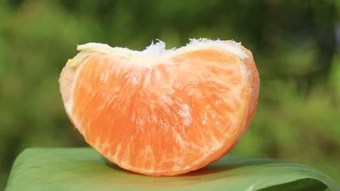 Orange fruit rotation , close up Stock Footage 77506356