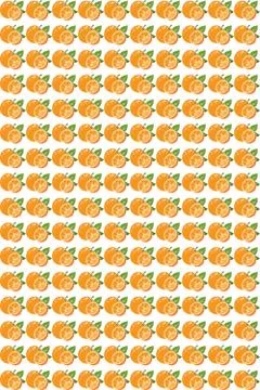 Orange fruit Seamless background and scrapbook paper Stock Illustration