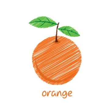 Orange fruit, sketch design vector Stock Illustration