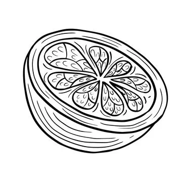 Orange fruit slice hand drawn engraved sketch drawing vector Illustrazione stock