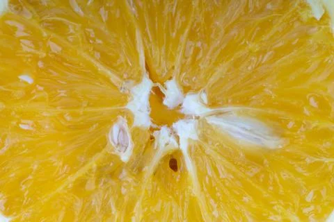 Orange fruit slice Stock Photos