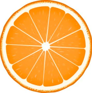 Orange fruit slice in realistic style. Isolated on white. Stock Illustration