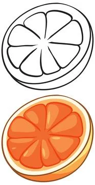 Orange Fruit Slice Vector Illustration in Color and Line Art Stock Illustration