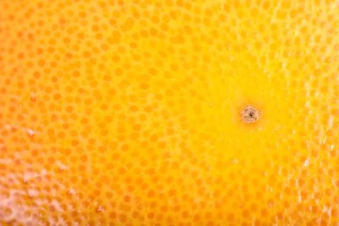 Orange Fruit Texture Stock Photos