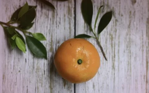 Orange fruit top view Stock Photos