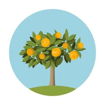 Orange fruit tree in flat style.Design element for the websites gardening. Stock Illustration