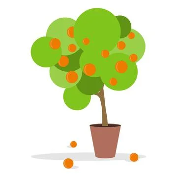 Orange fruit tree in a pot with fallen oranges isolated on white background. イラスト素材