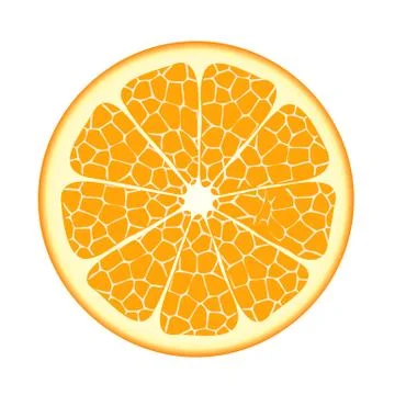 Orange fruit. Vector EPS10 Stock Illustration