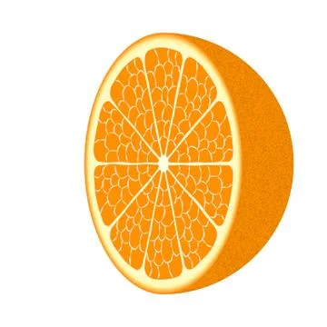 Orange fruit. Vector EPS10 Stock Illustration