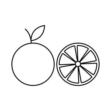 Orange fruit vector icon outline. Citrus. EPS 10. Slice illustration on white Stock Illustration