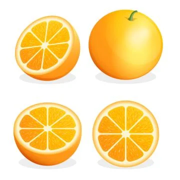 Orange fruit. Vector illustration. Ilustração Stock