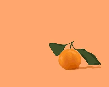 Orange fruit vector illustration. Stock Illustration