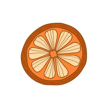Orange fruit. Vector illustration of an orange. Mandarin drawing. Stock Illustration