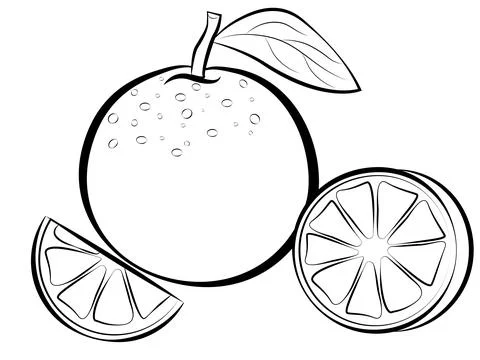 Orange fruit vector Summer food engraved Stock Illustration