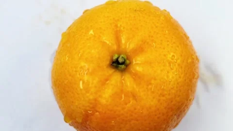 Orange Fruit white Background, Orange Close-Up, Macro Orange Fruit Videography Video stock 293904460