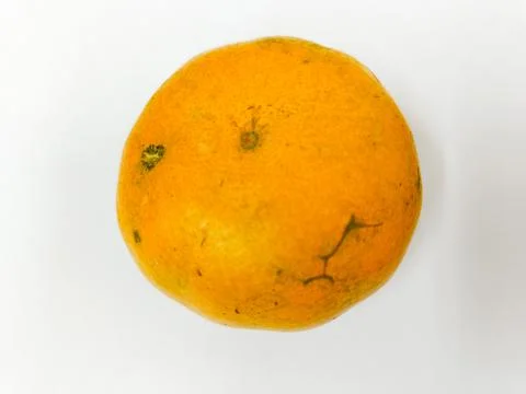 Orange fruit on the white background Foto stock