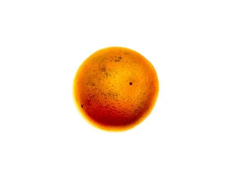 Orange fruit on white background. 스톡 사진
