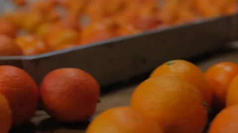 Orange Fruit Work Processing Stock Footage 62892581