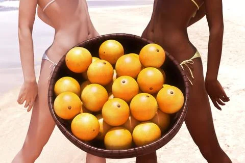 Orange fruits 스톡 일러스트