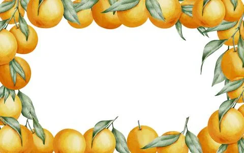 Orange Fruits rectangular Frame. Hand drawn watercolor illustration of Border Stock Illustration
