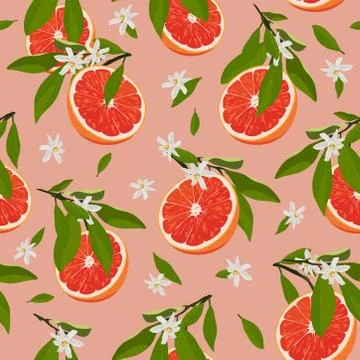 Orange fruits slice seamless pattern with flowers and leaves on rose pink bac Stock Illustration