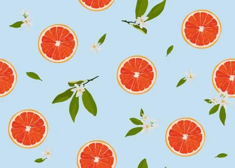 Orange fruits slice seamless pattern with flowers and leaves on pastel blue b Stock Illustration