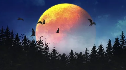Orange Full Moon Pine Forest Bat Swarm 4K Loop Stock Footage 296241387